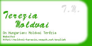 terezia moldvai business card
